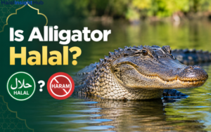 is alligator halal